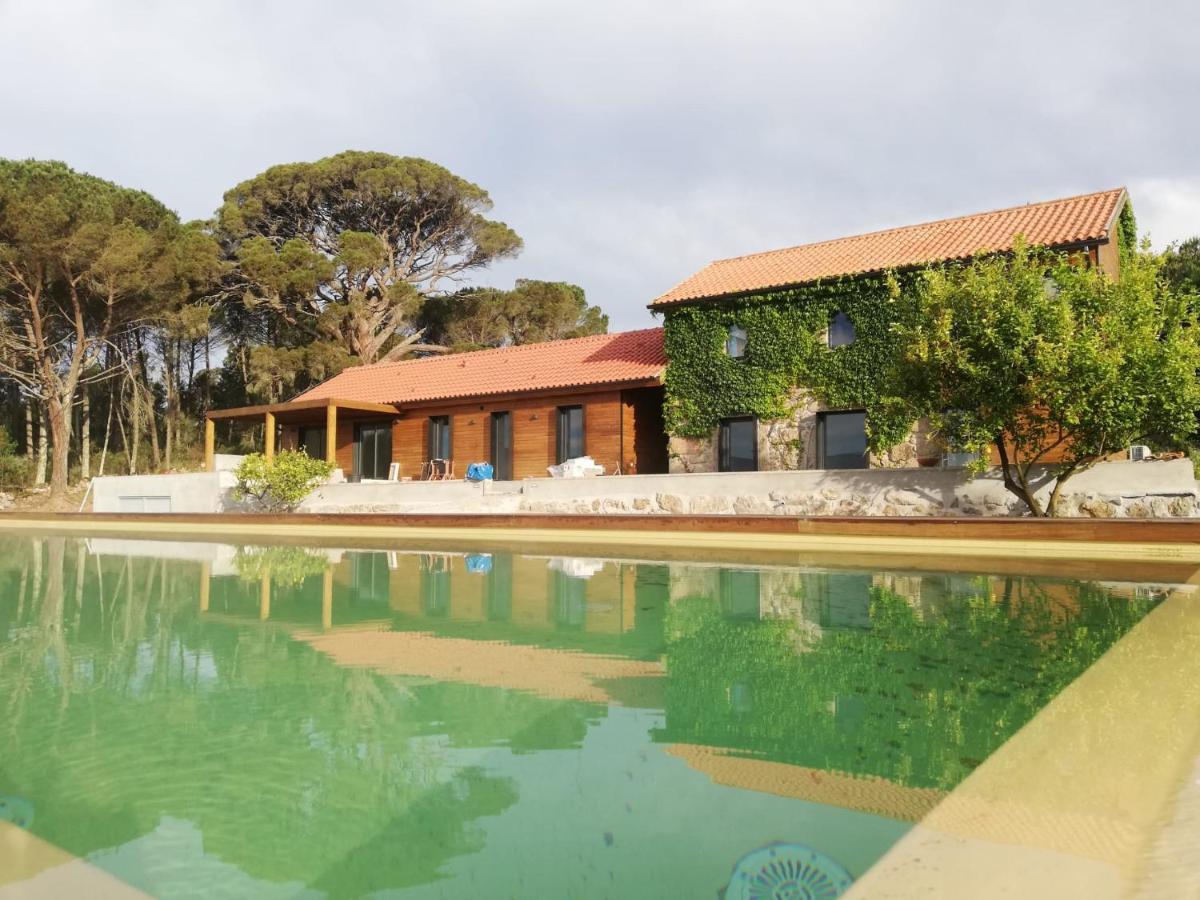 Casas Do Pinheiro Grande Villa Fornos de Algodres Exterior foto