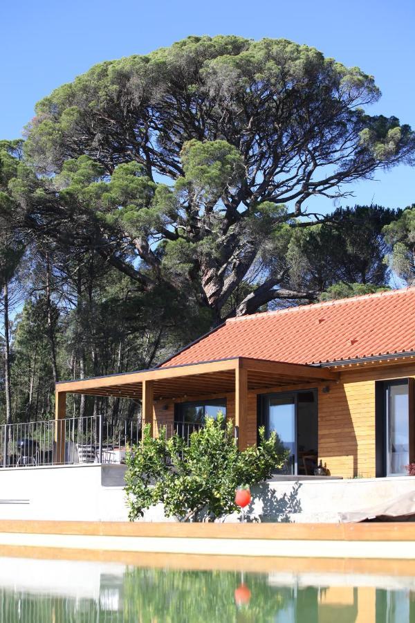 Casas Do Pinheiro Grande Villa Fornos de Algodres Exterior foto